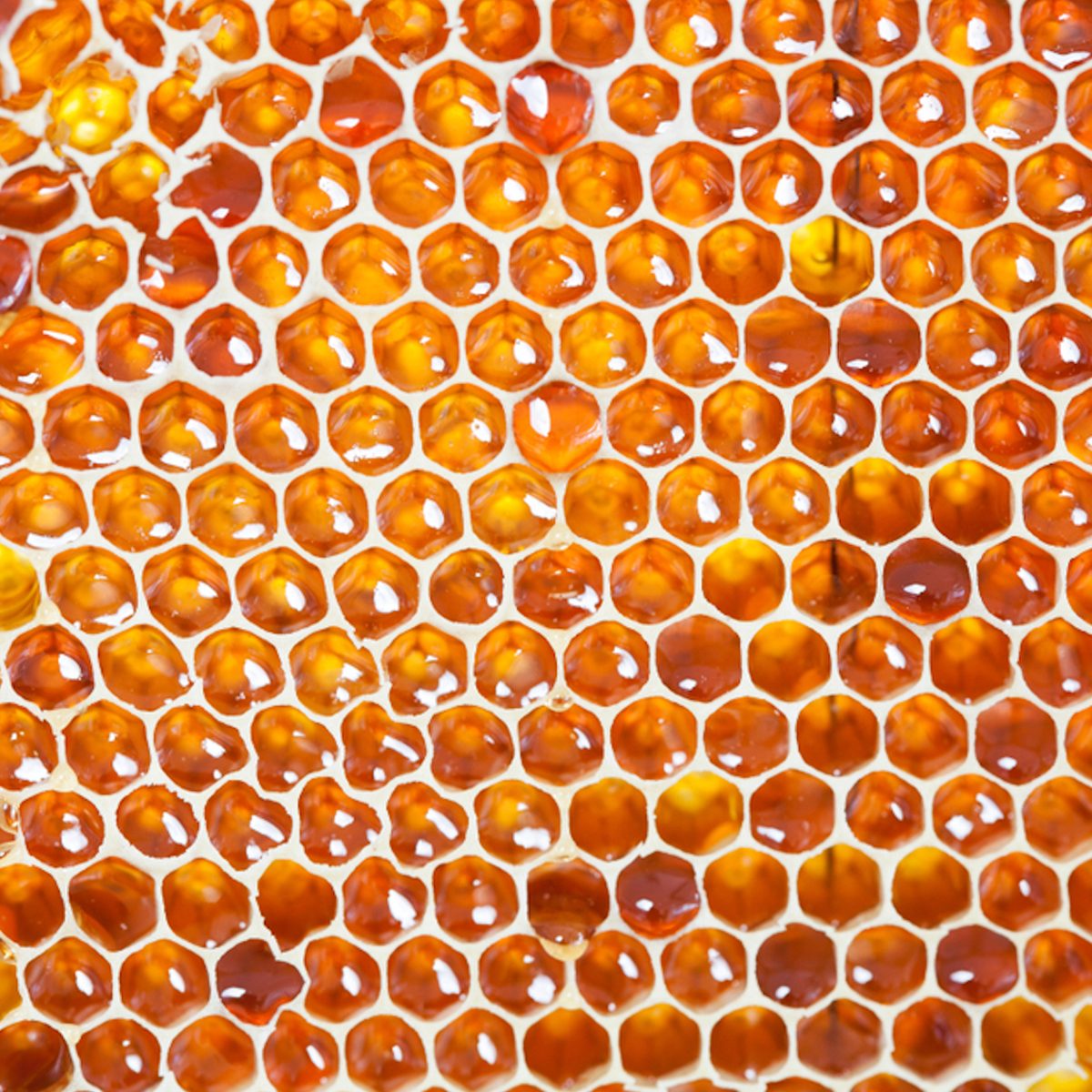 honeycomb