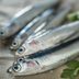 10 Reasons Why You Need Anchovies in Your Life