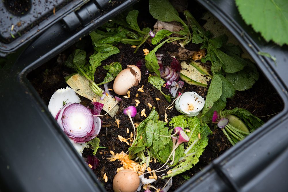 I Started Composting at Home—Here’s What Happened