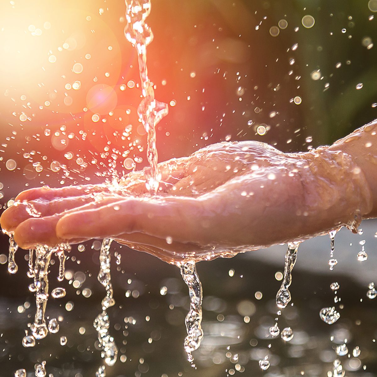 Hands with water splash, backlit by the evening sun.
