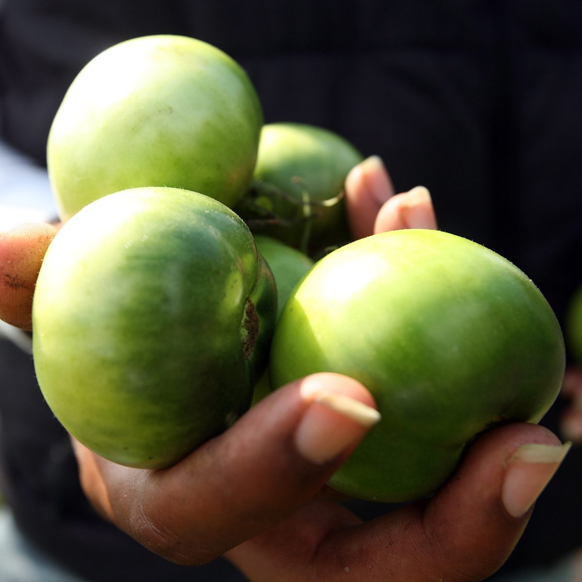 Urban Farming In Detroit Michigan