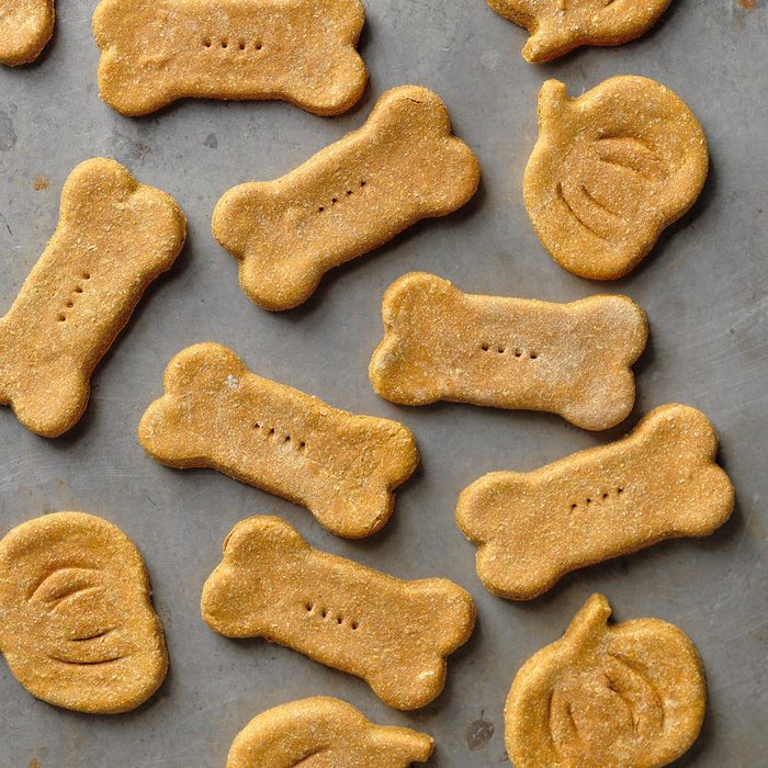 Pumpkin Dog Treats