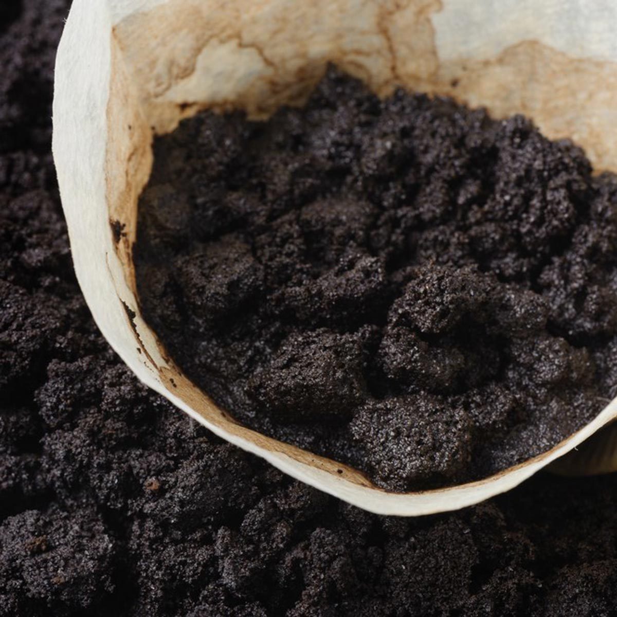 coffee grounds