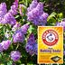 11 Secret Ingredients That Can Help Your Garden Grow