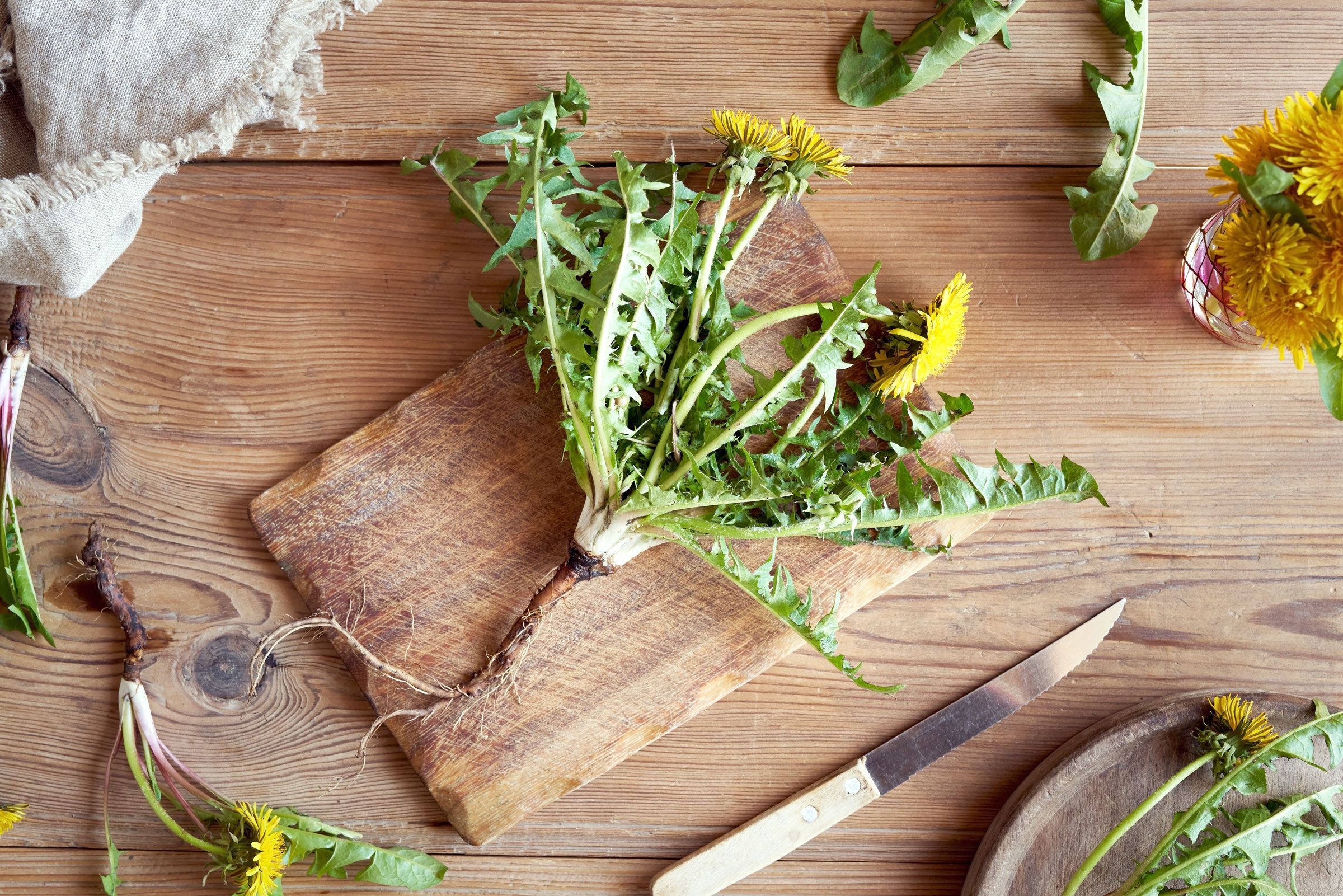 Can You Eat Dandelions, and How Do You Cook Them?