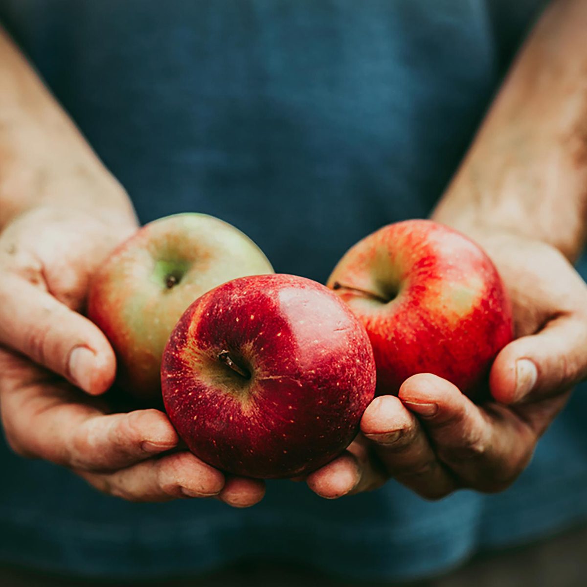 Hands holding three apples