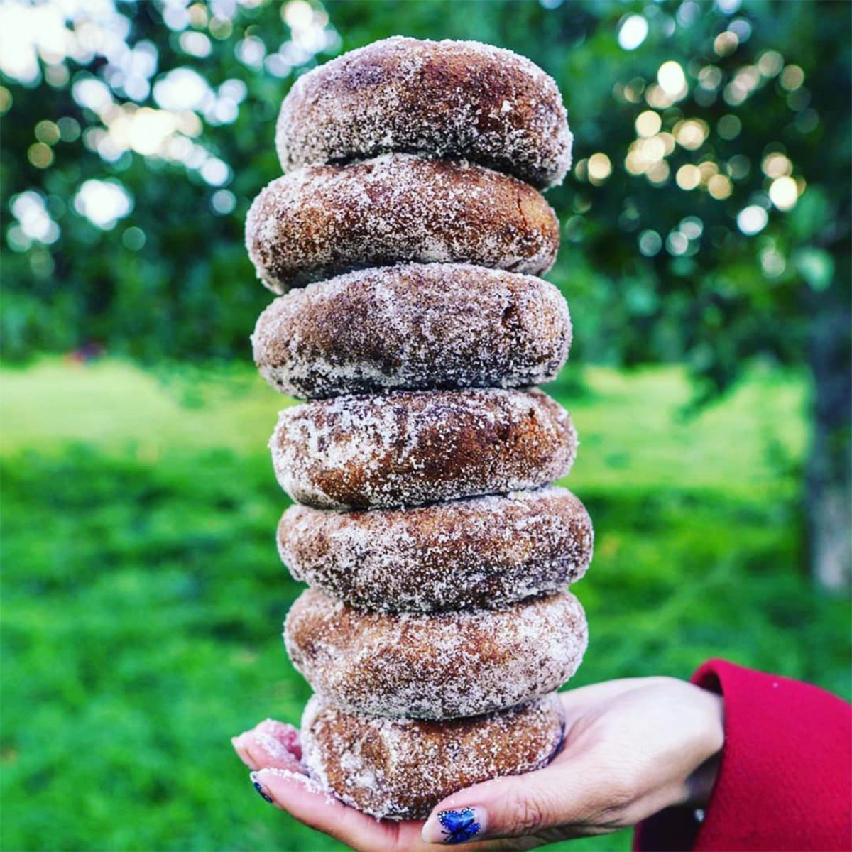 Ny Outhiouseorchards