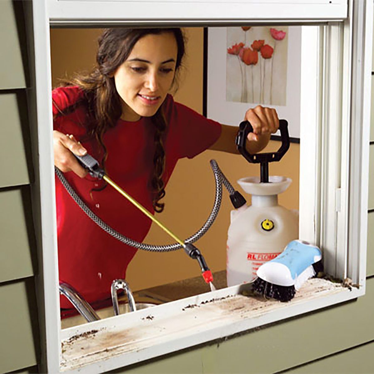 Woman spraying the windows