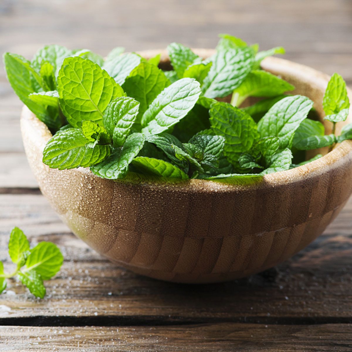 Green fresh mint on the wooden table