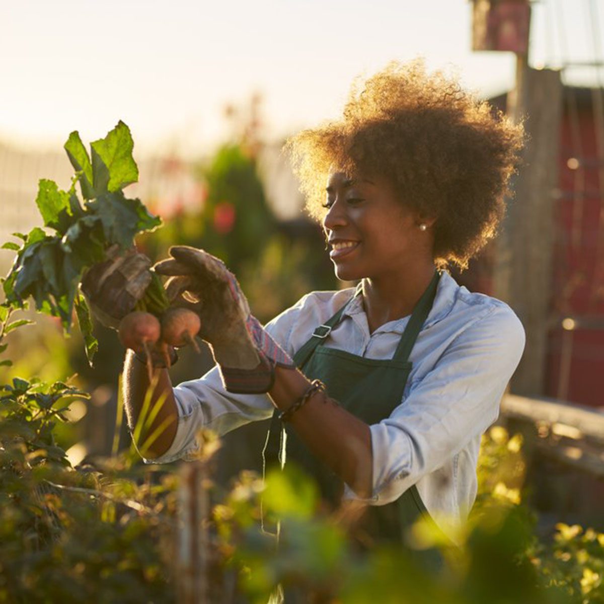Woman gardening