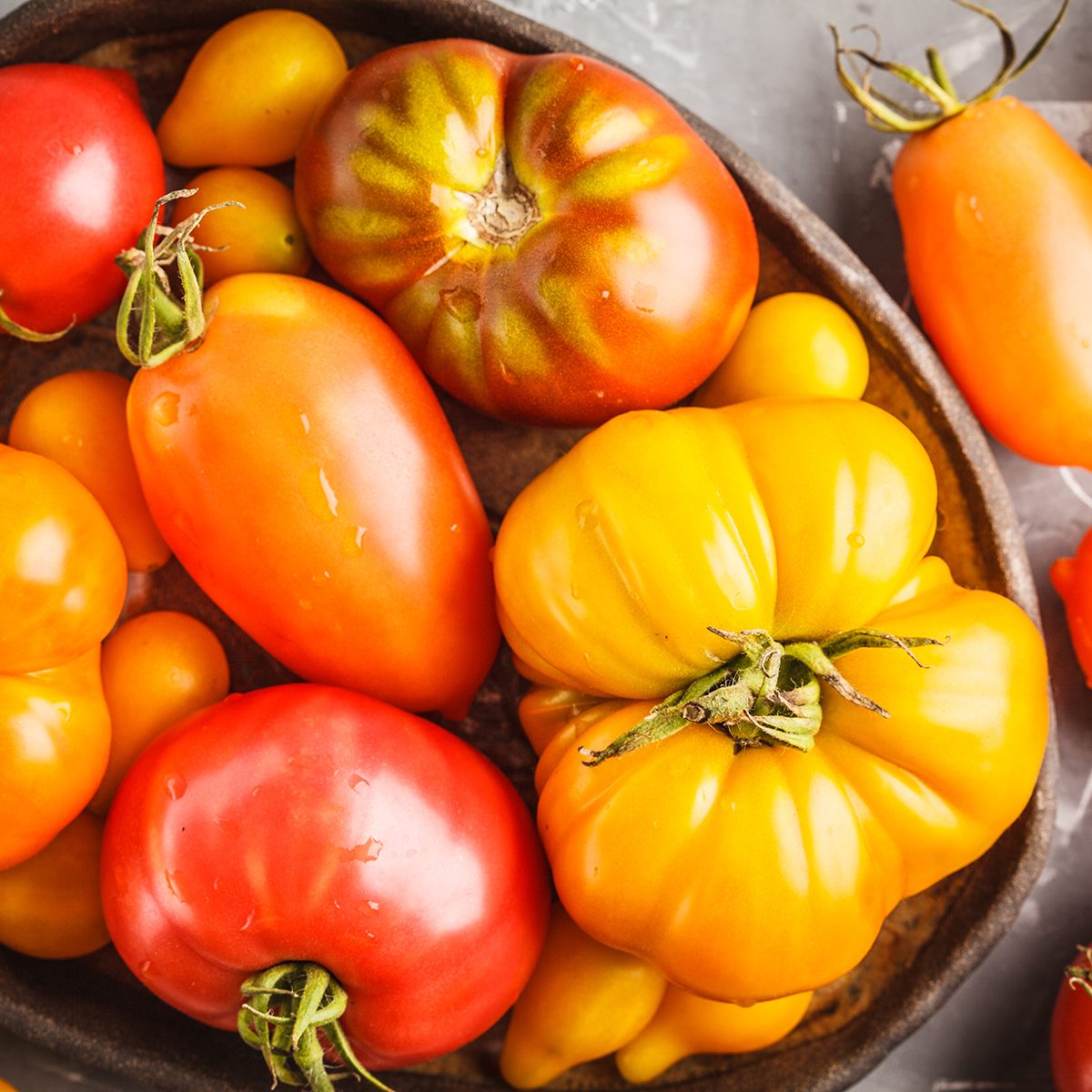 Different types of tomatoes, dark background.