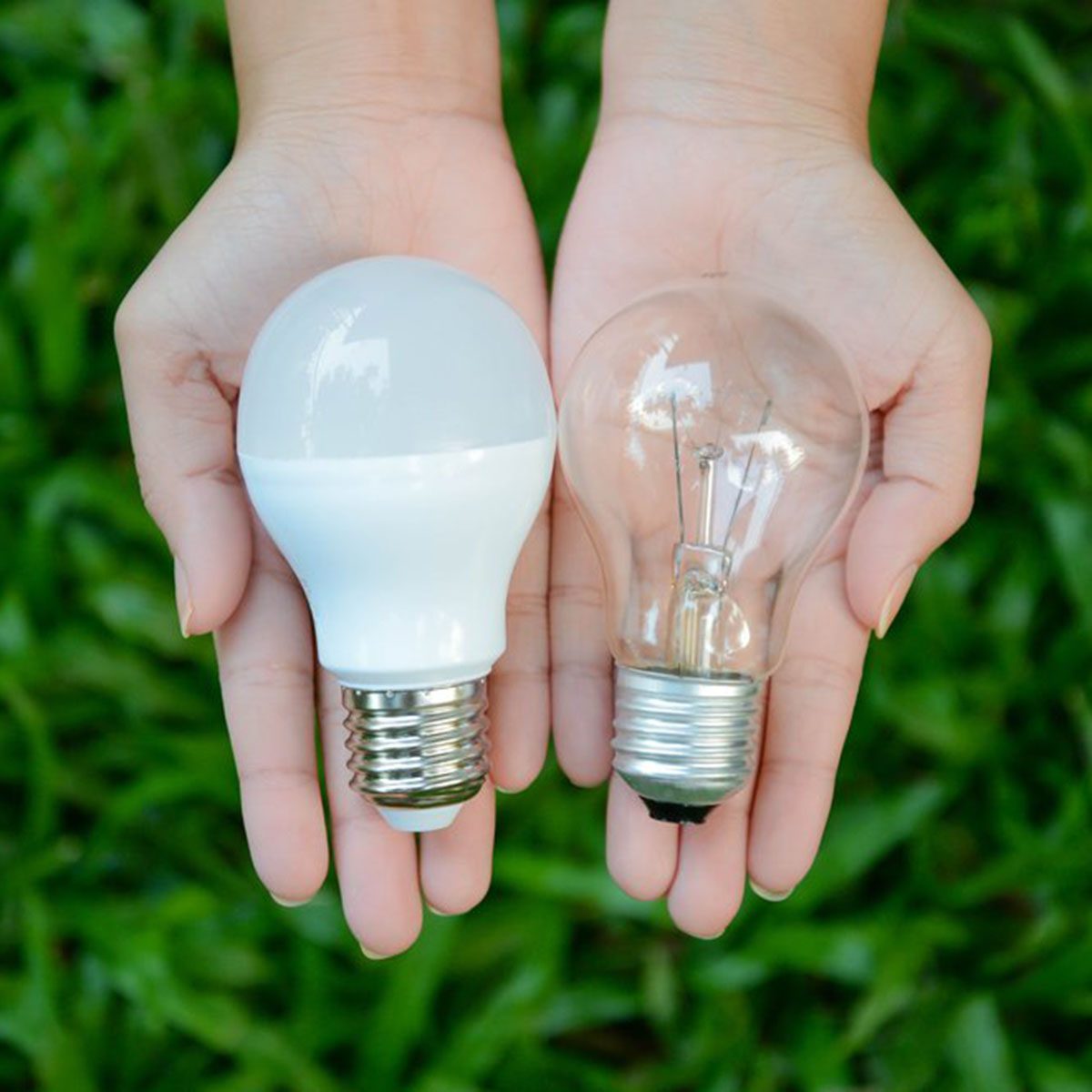 Light bulbs