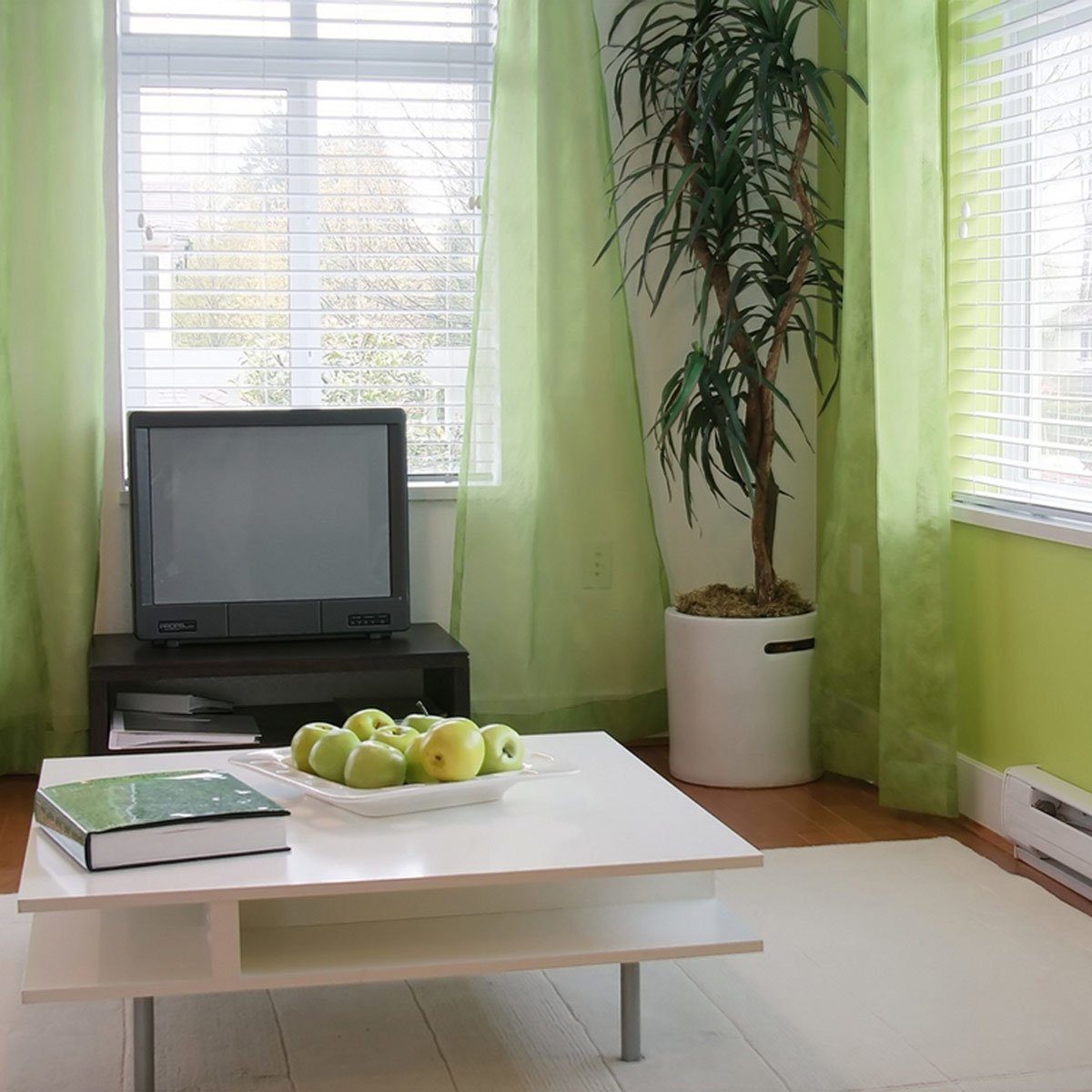 Living room with tv and table