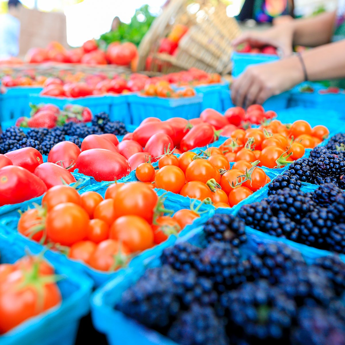 Pint baskets of Organic red tomatoes and blackberries on the counter at a Farmer