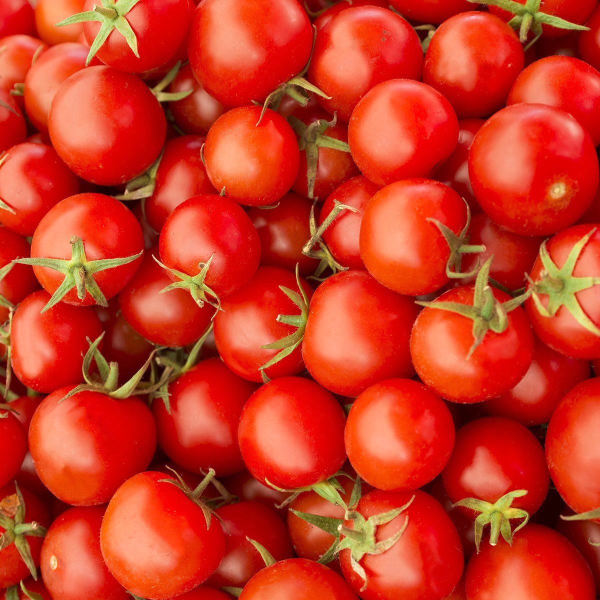 Tomatoes