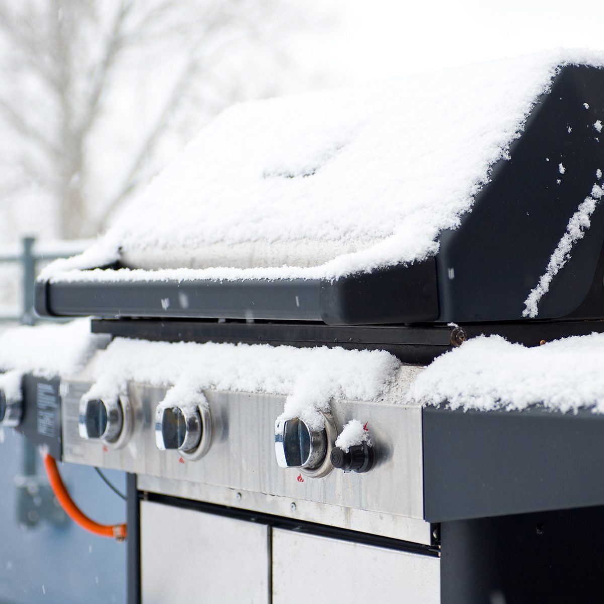 winter break for barbecue