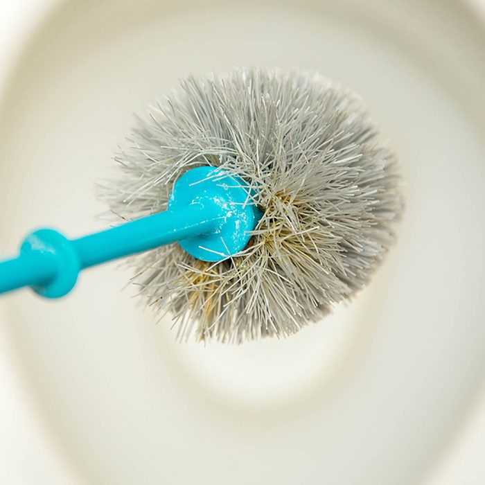 Toilet brush