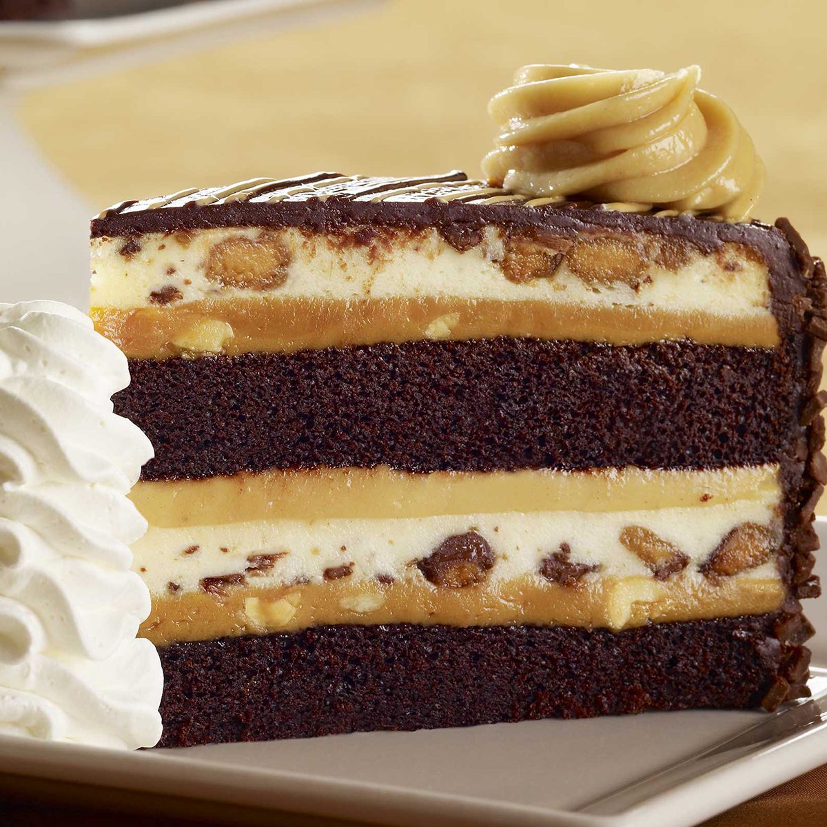 Peanutbutter chocolate cheesecake