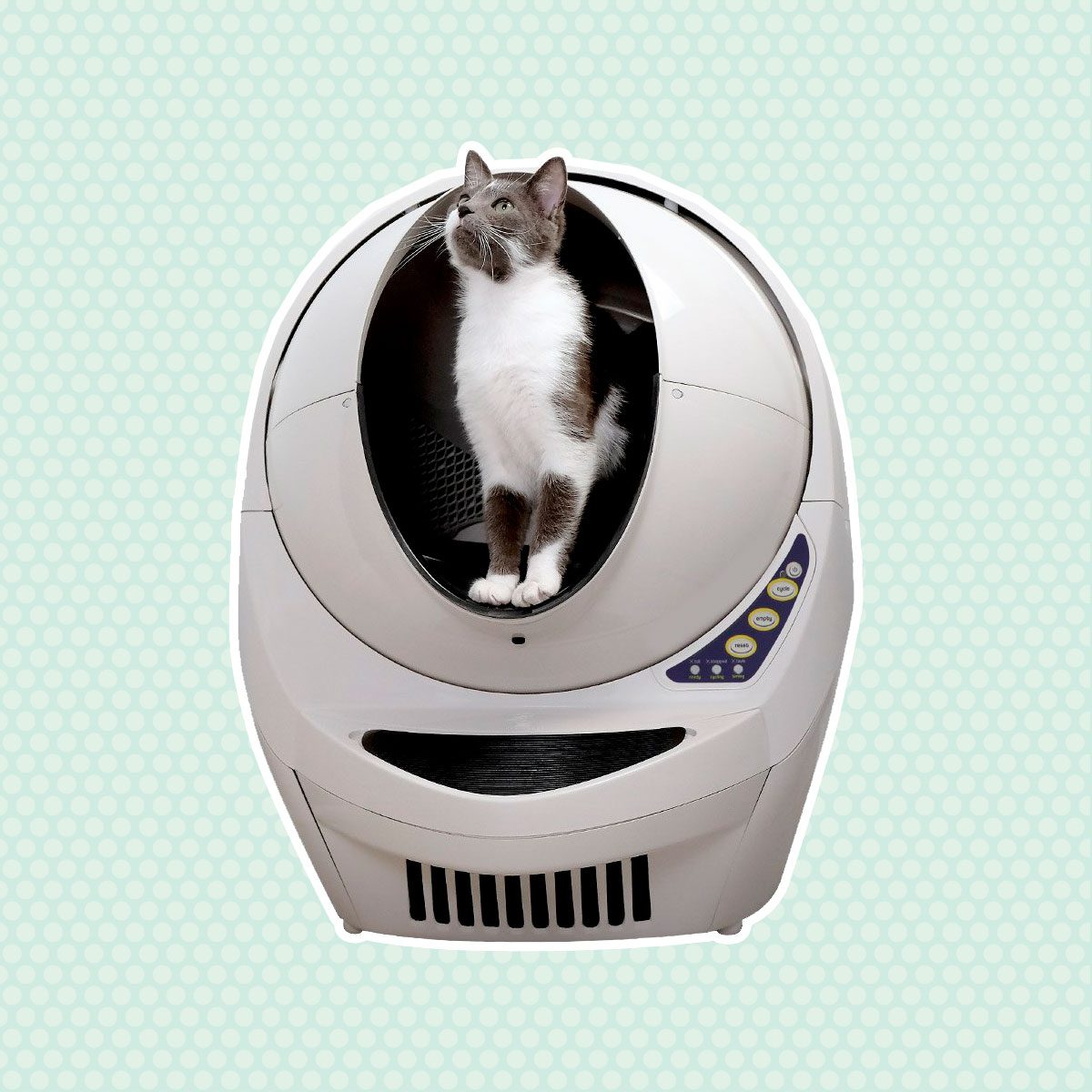 Litter Robot 3