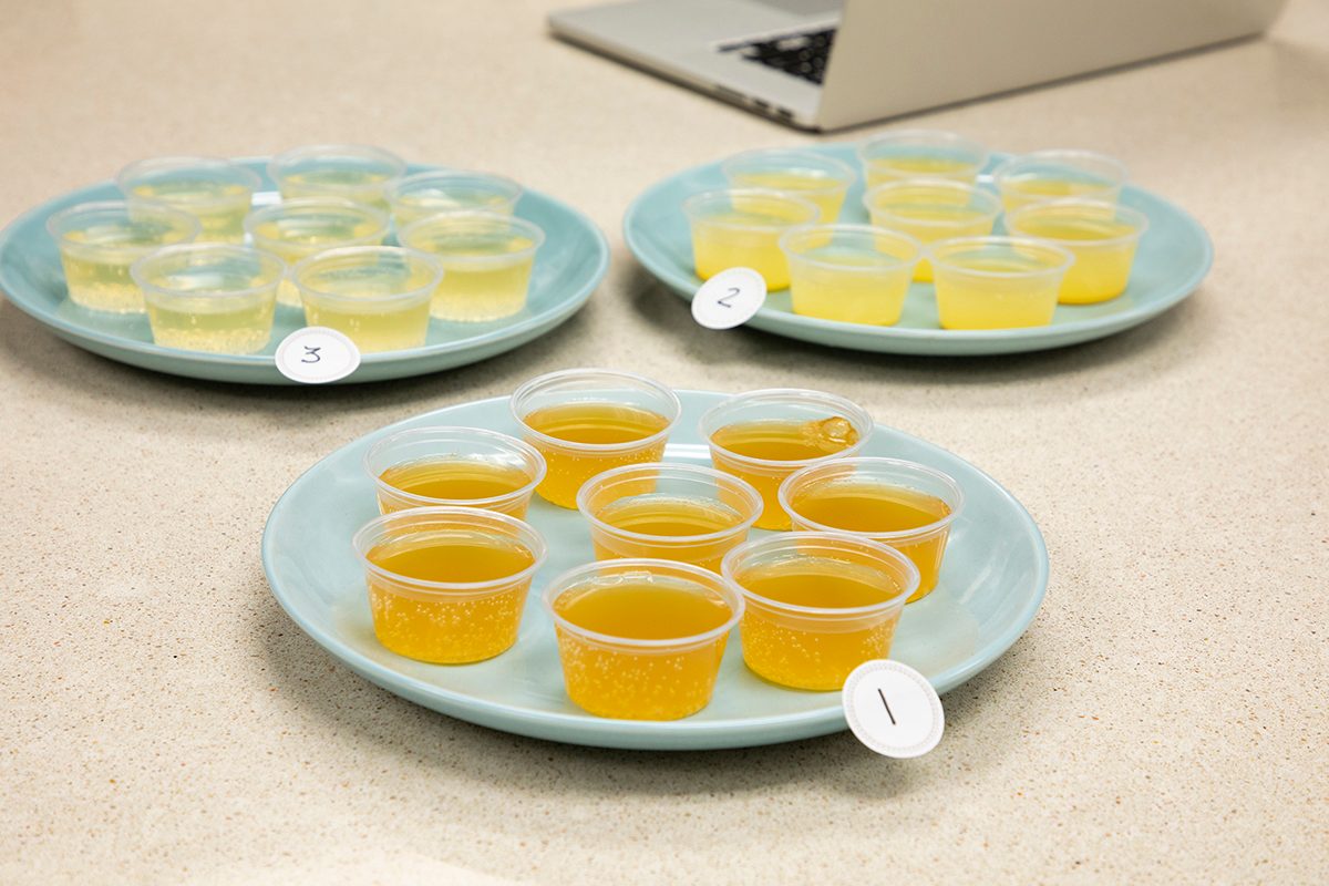 We Tried 5 Types of Kombucha. Here’s the One We All Loved.