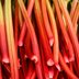 9 Rhubarb Benefits You Need to Know
