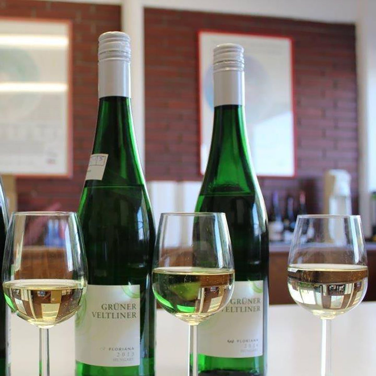 Floriana Gruner Veltliner