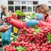 What Farmers Markets Will Look Like This Summer