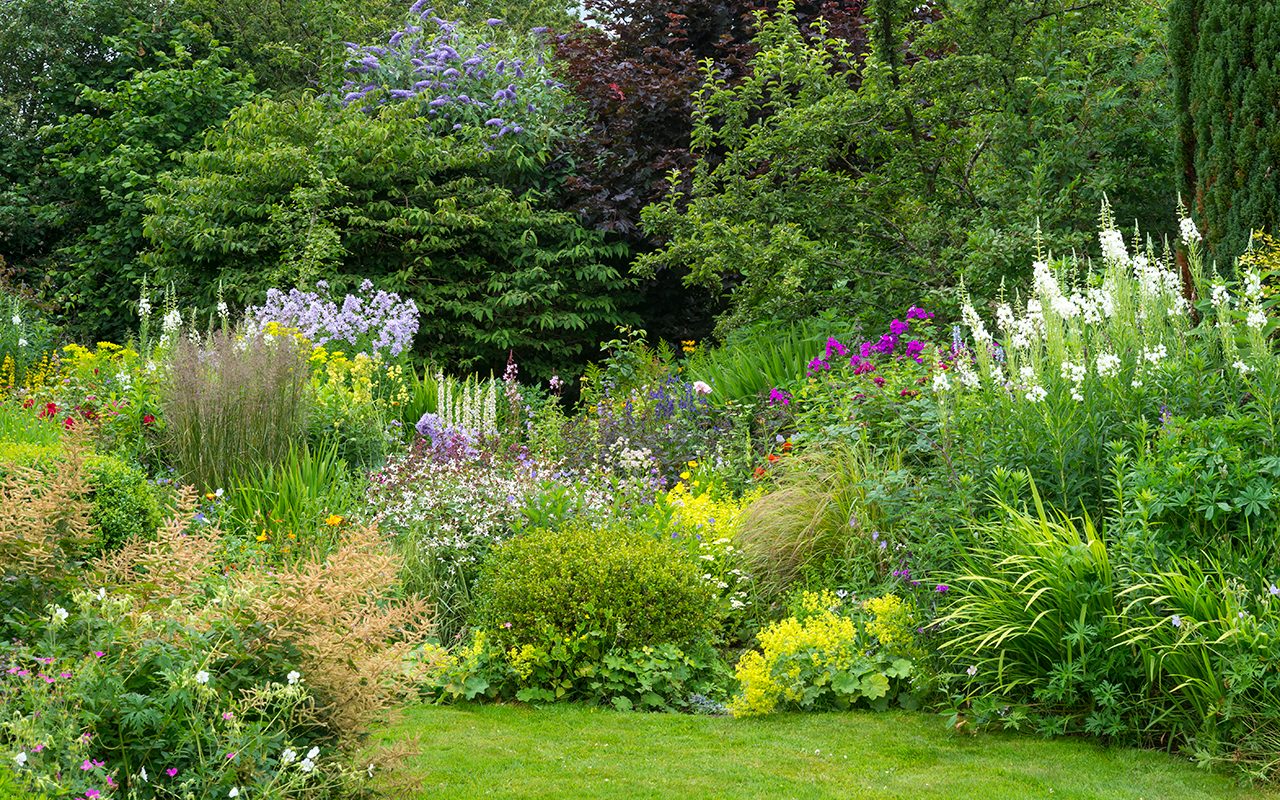 7 Gardening Mistakes You Might Be Making with Your Perennial Plants