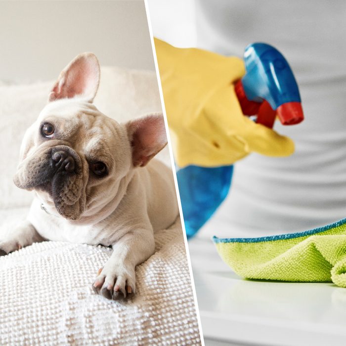 Cropped shot of an unrecognizable young woman cleaning a table at home