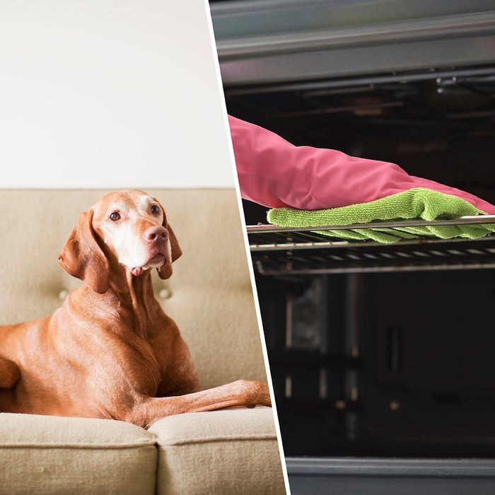 Cleaning the oven. Woman