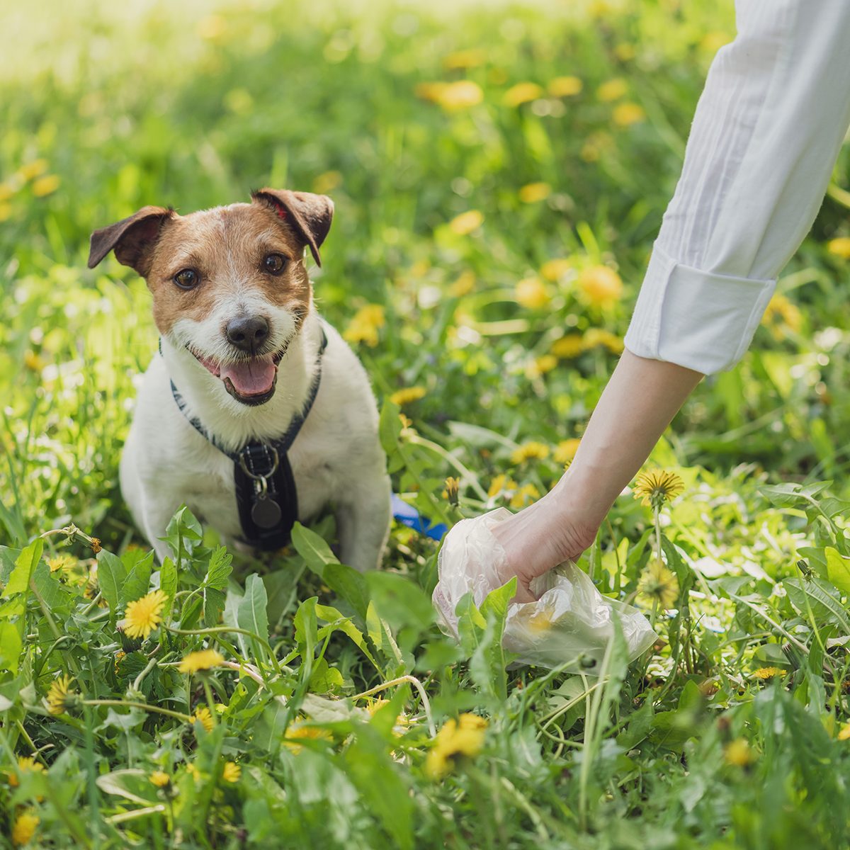 Female hand with plastic bag