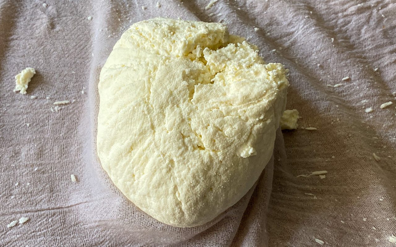 strained paneer in the cheese cloth ready to be flattened