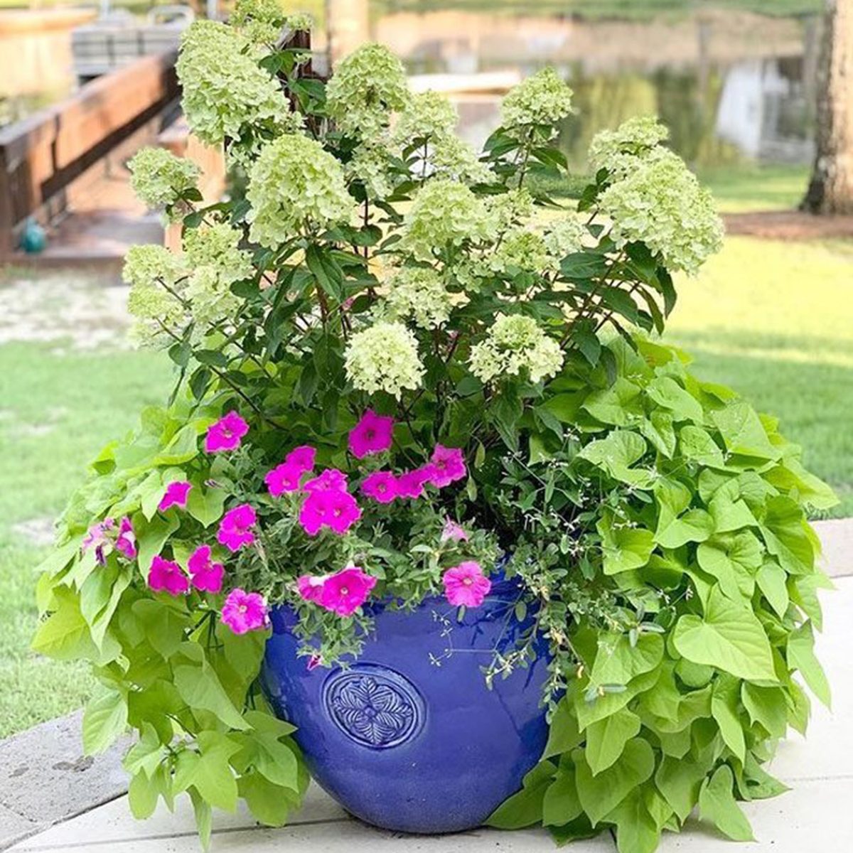 Landscaping With Pots 162466295 792698505005721 3655325302755838715 N