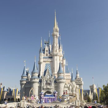 Disney Castle