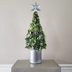 Succulent Christmas Trees Are Perfect for the Holidays—Here's Where to Find Yours