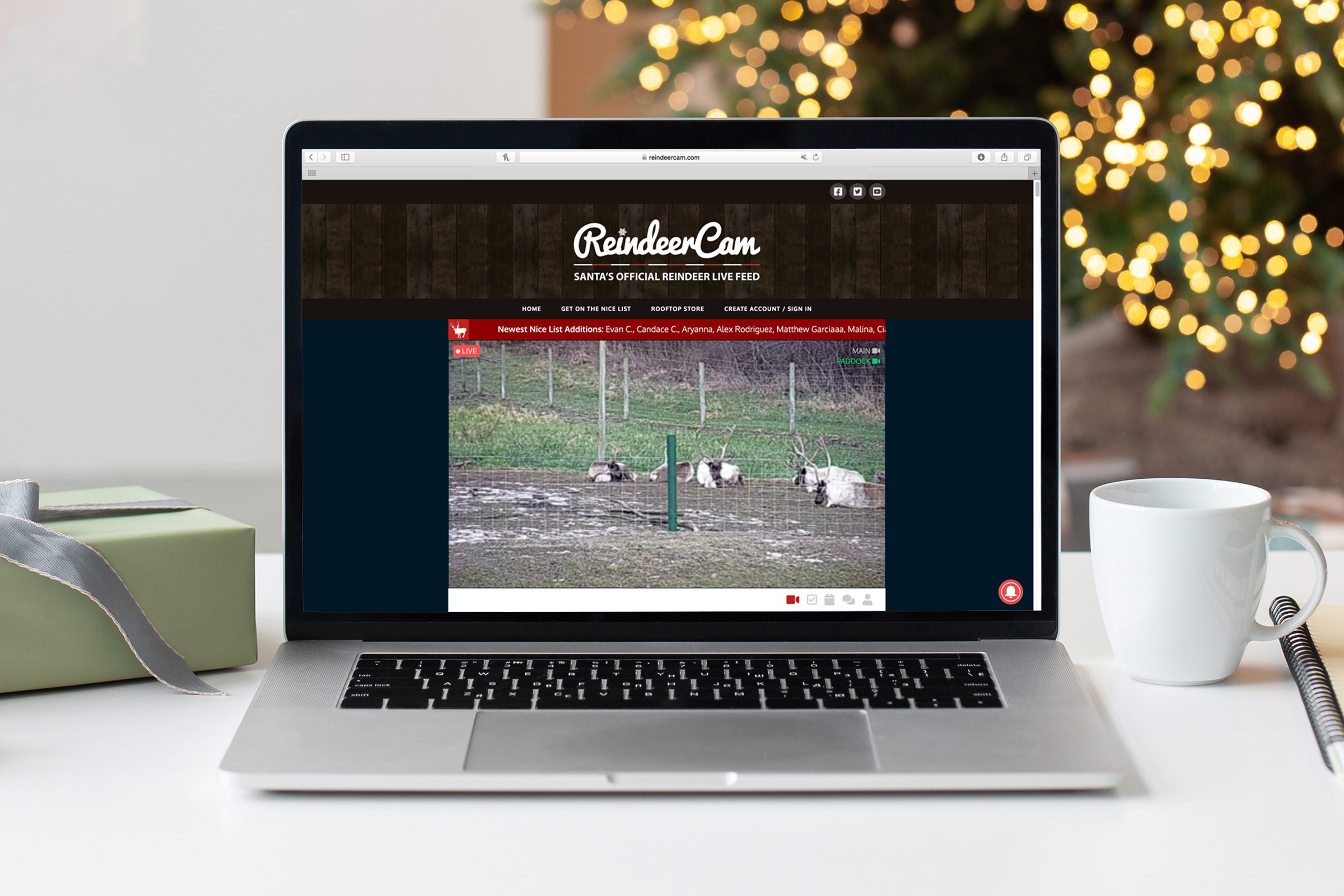 Your Kids Can Watch Santa and His Reindeer Live at The North Pole—Here’s How