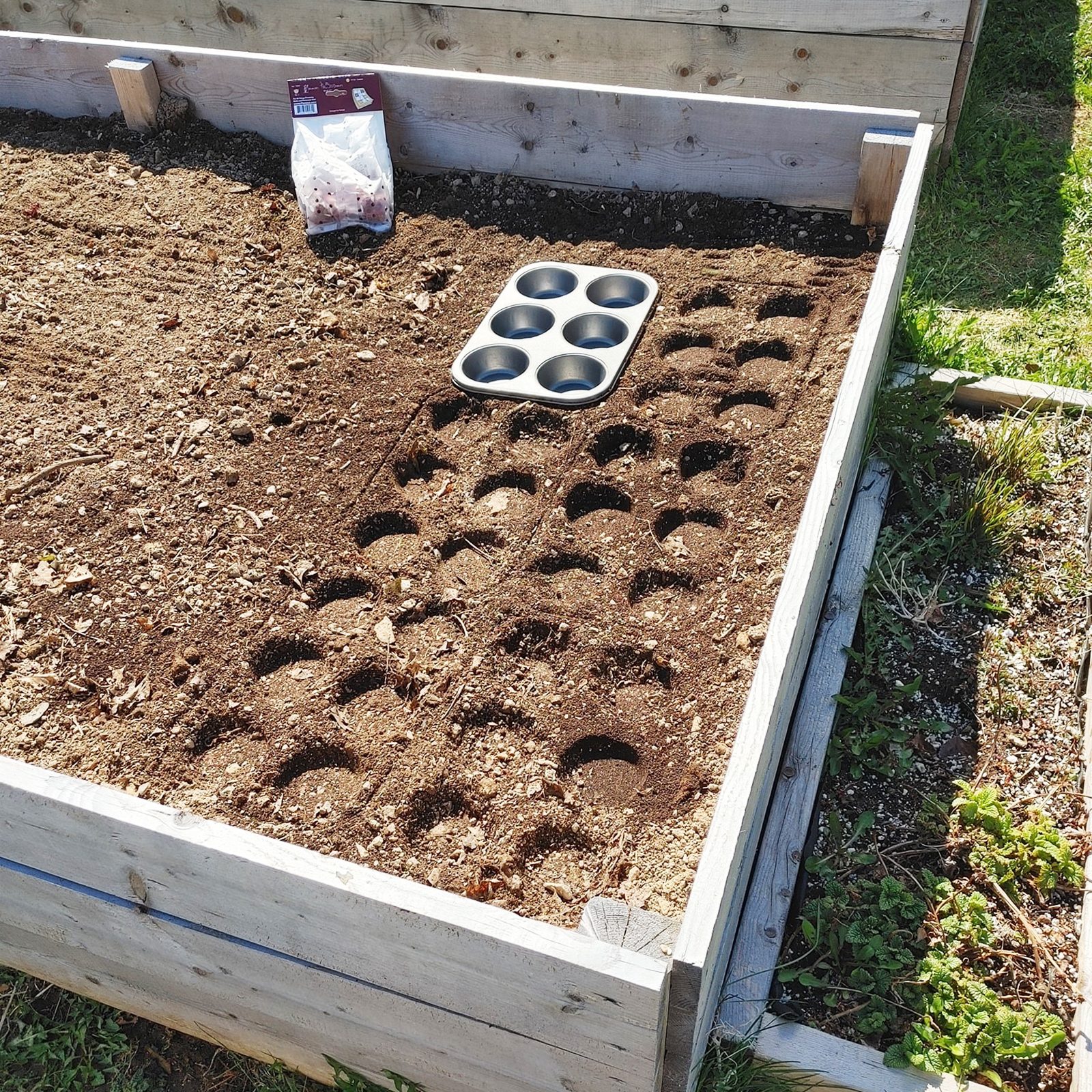 This Seed Spacing Hack Will Make It Easy to Plant Your Garden