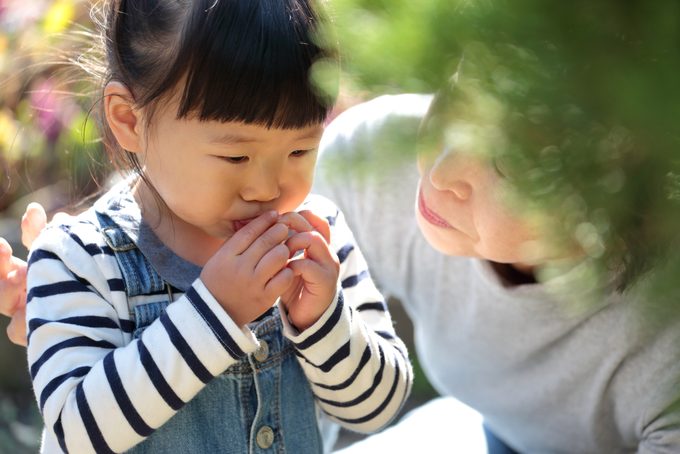 Granddaughter tasting kumquat by grandmother in garden