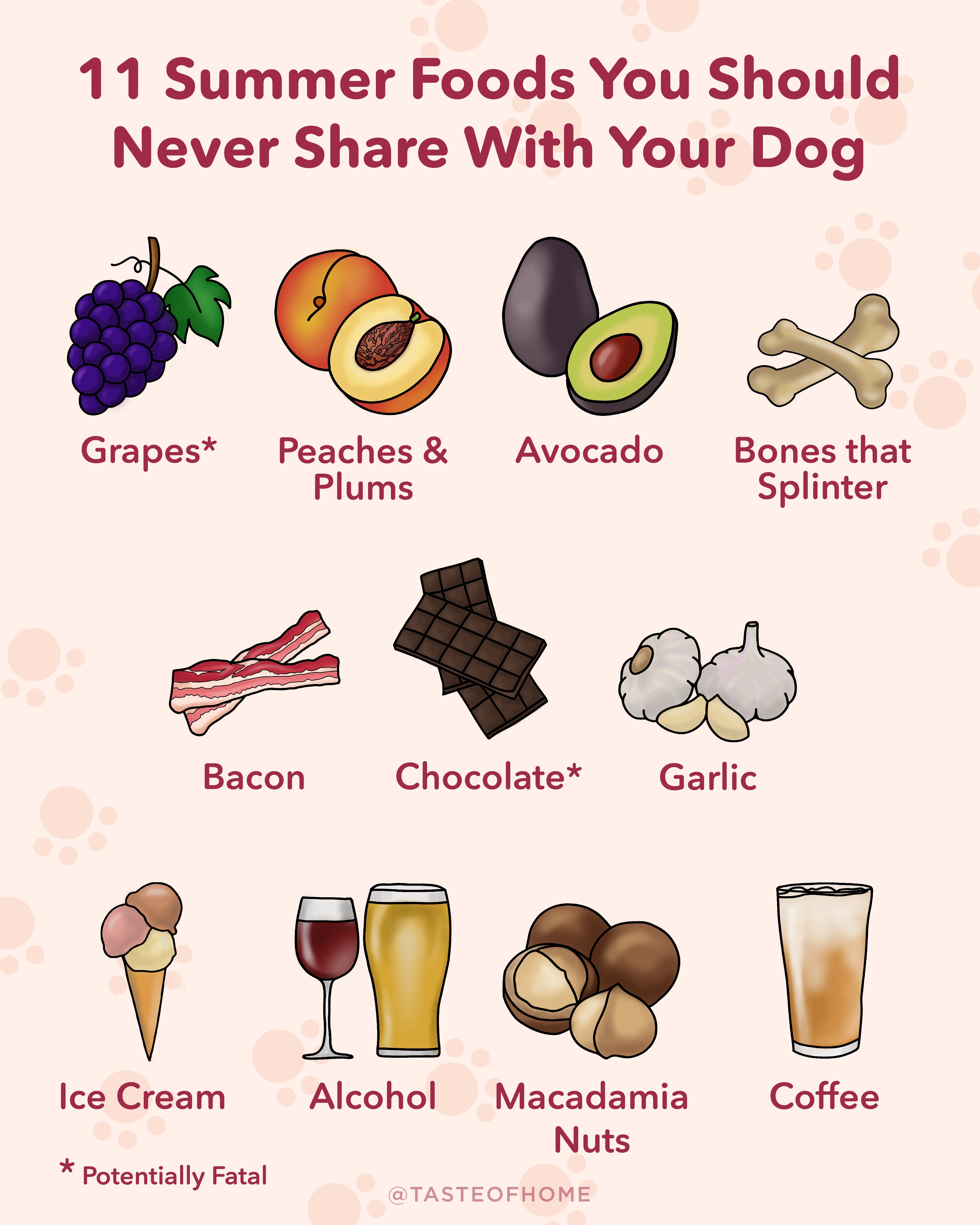 11 Unsafe Dog Foods Graphic Ud 2.1 01