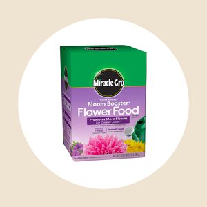 Miracle Gro Bloom Booster