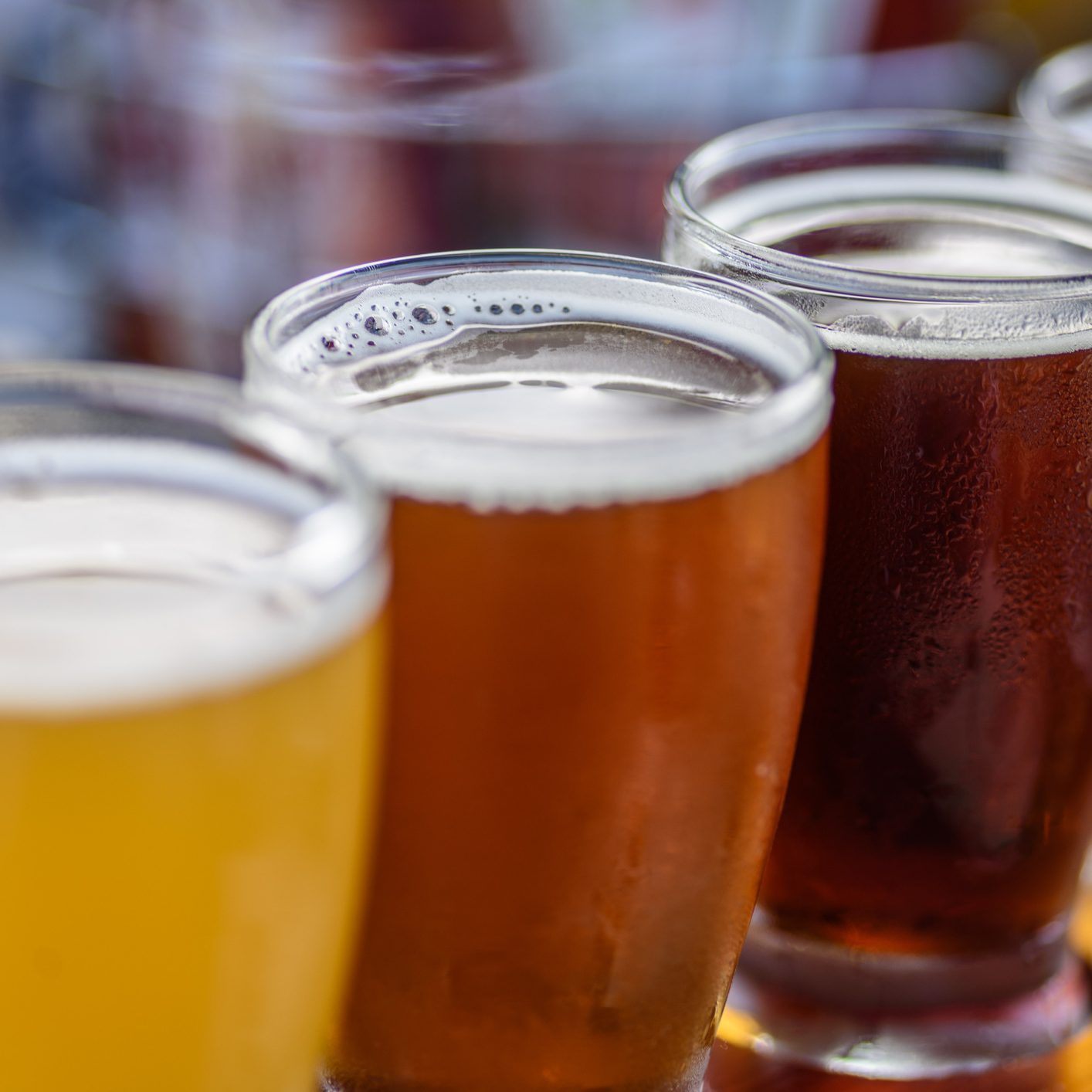 Beer flight in summer sunlight