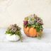 20 Pretty Pumpkin Decor Ideas for Fall