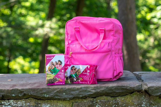 Girl Scouts Raspberry Rally Cookie