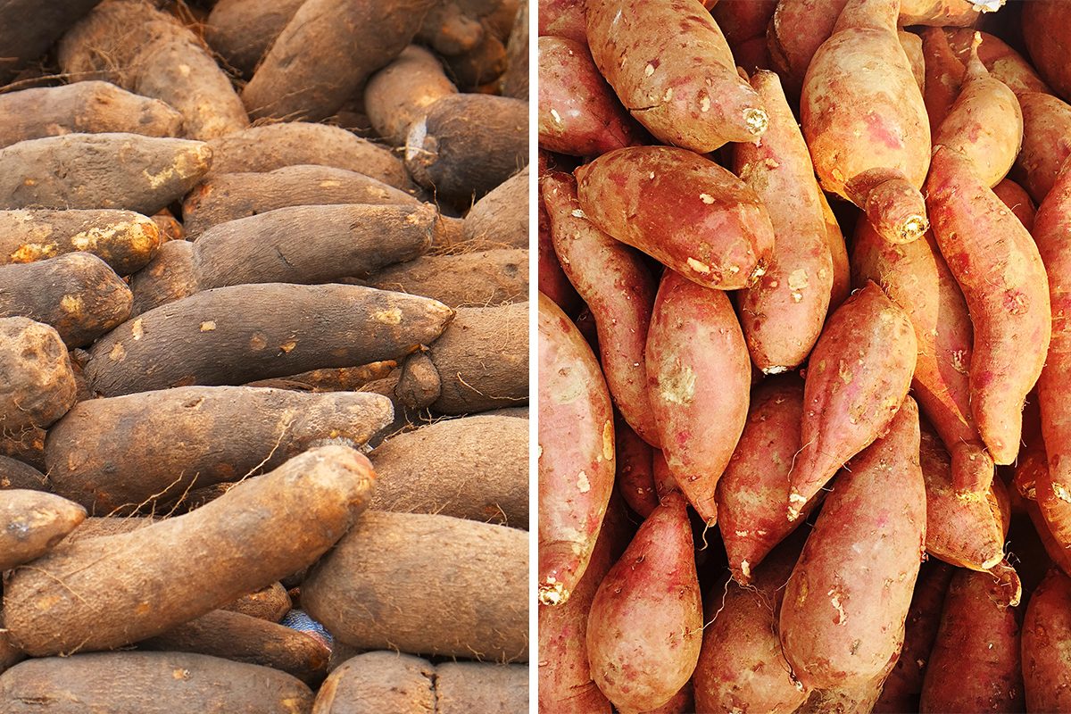 Yams vs. Sweet Potatoes: What’s the Difference?