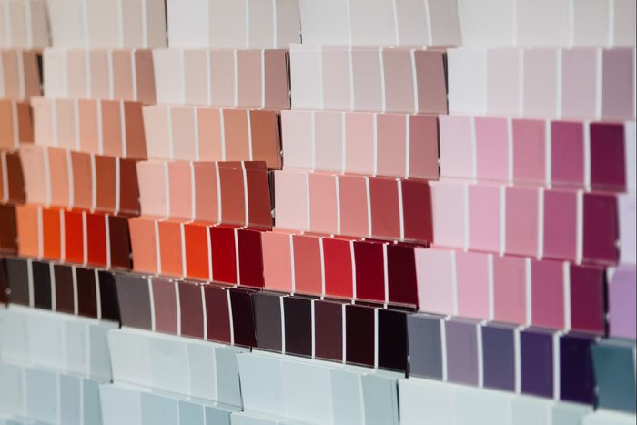 Color swatches on wall in hardware store