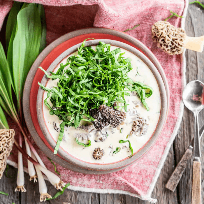Ramp Morel Soup