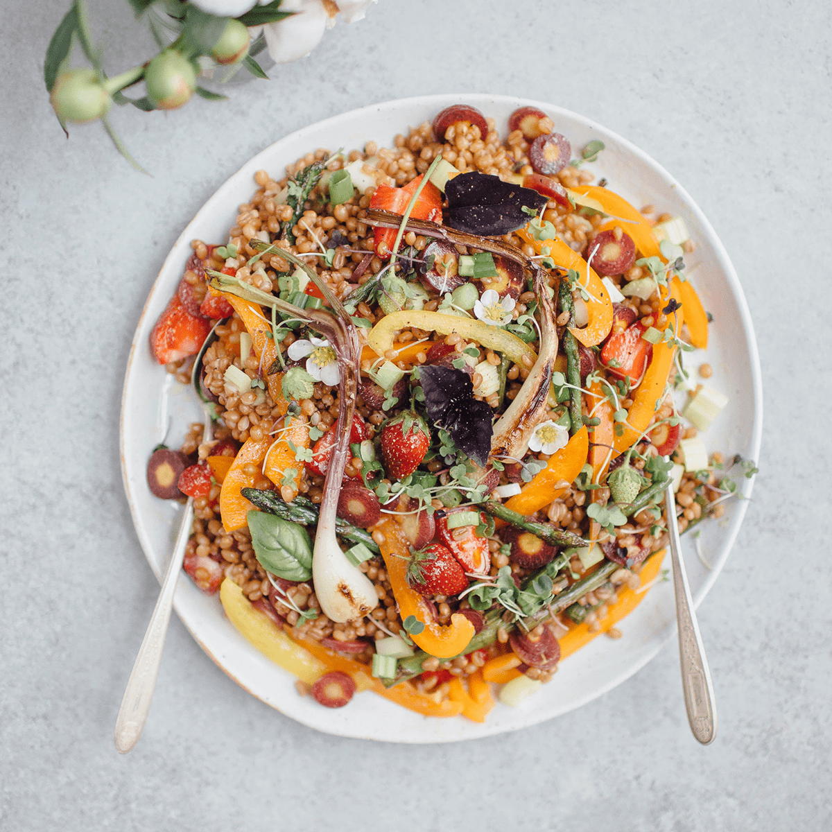 Vegetarian Spring Wheat Berry Salad