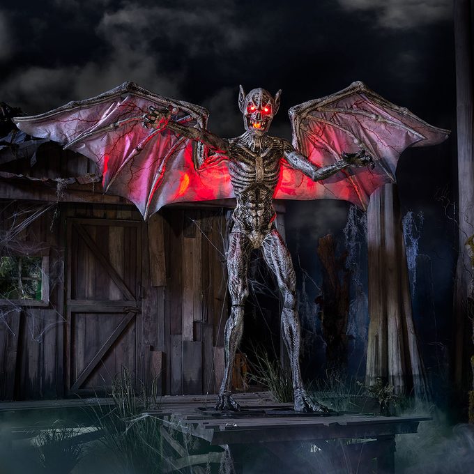 Solo Predator Of The Night Lifestyle Courtesy The Home Depot