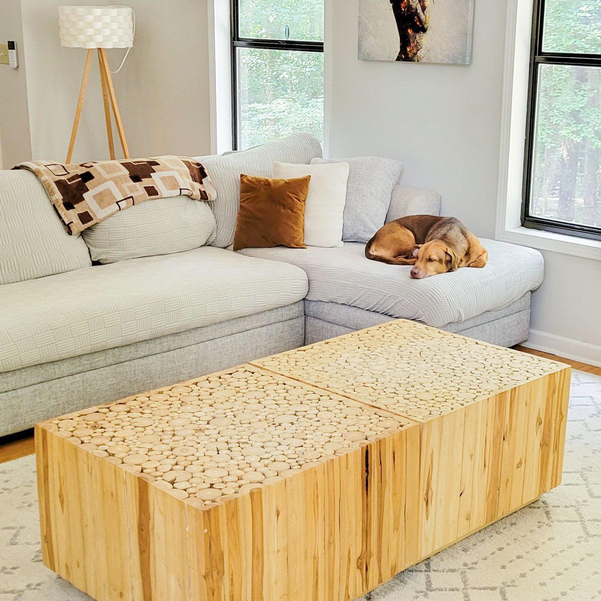 Couch Cushion Covers