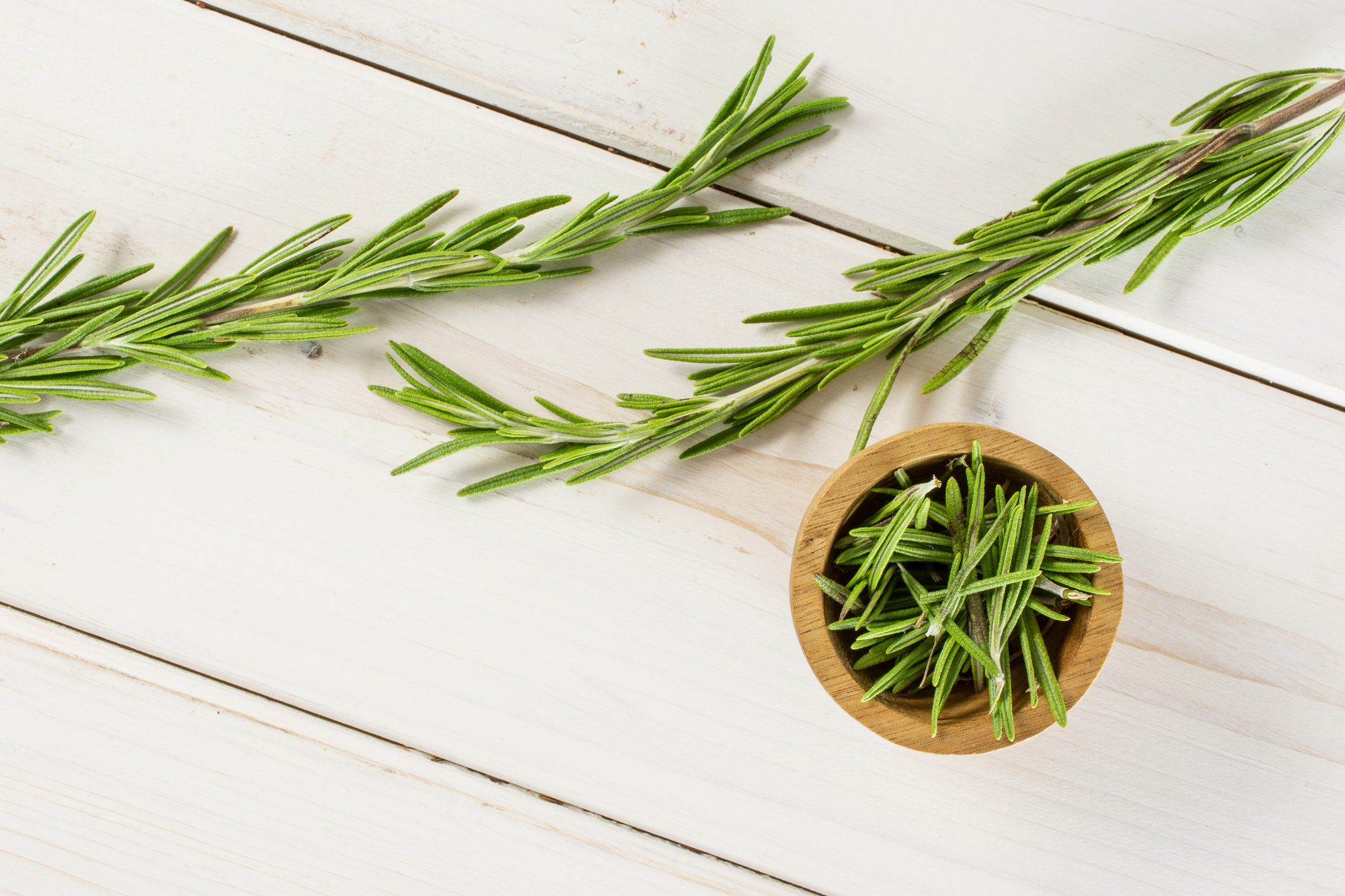 Fresh rosemary herb on grey wood
